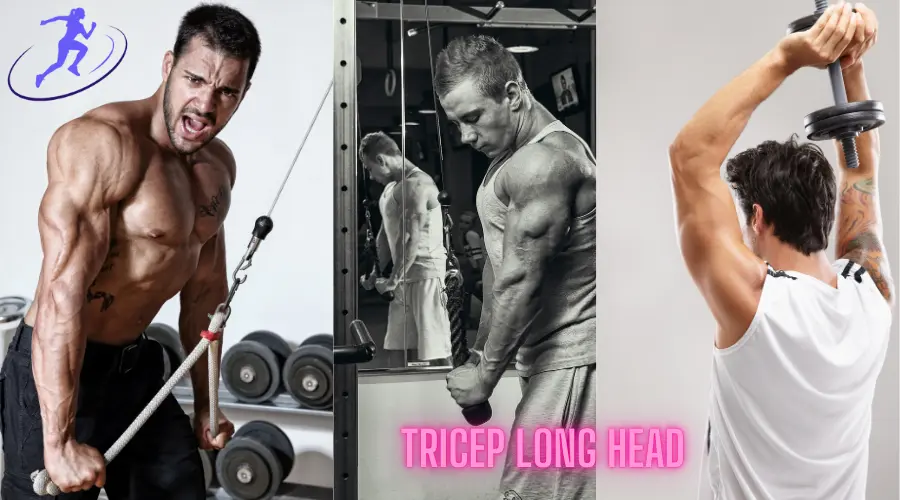 Tricep Long Head training 