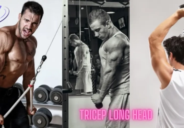 Tricep Long Head